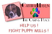 aatshirt.jpg (10313 bytes)