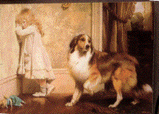 aucspecialpleader.gif (19432 bytes)